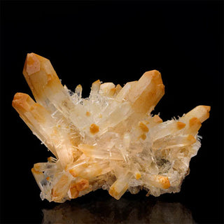 Minerals | Museum Quality