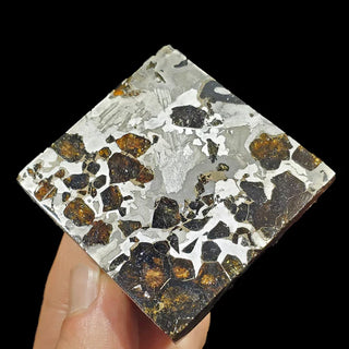 zAW |  "Seymchan Corner-Cut" Pallasite Meteorite