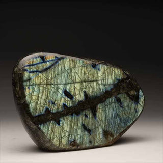 zAW |  Labradorite // 3.5 Lb.