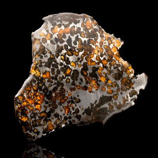 zAW |  Sericho Pallasite Meteorite Slice // 181 Grams