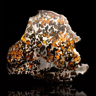 zAW |  Sericho Pallasite Meteorite Slice // 181 Grams