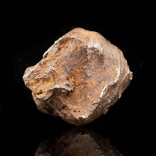 zAW |  Sikhote-Alin Meteorite // 102.5 Grams