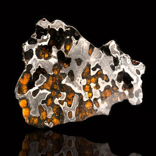 zAW |  Brenham Pallasite Meteorite // 67 Grams