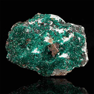 zAW |  Dioptase // 89.31 Grams