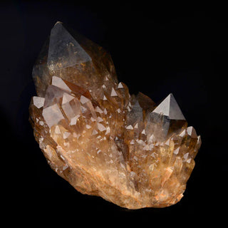 zAW |  Elestial Citrine Cluster // 1.80 Lb.