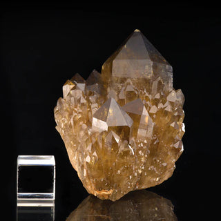 zAW |  Elestial Citrine Cluster // 1.80 Lb.